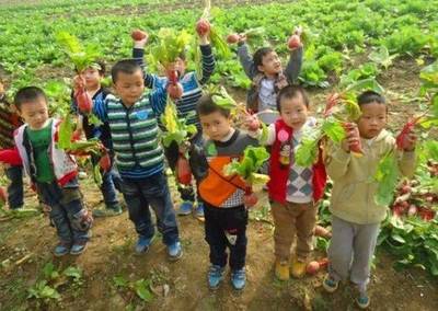 國家啟動家庭農場:這2個角度6種類型,農場:種植、社區、親子為一體,年入園人次10萬+!你如何做好農場運營?