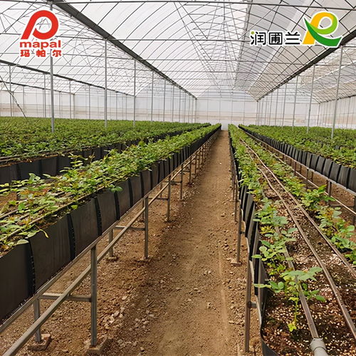 新品上線 可以 卷 的種植槽,輕便簡(jiǎn)易,一舉多得