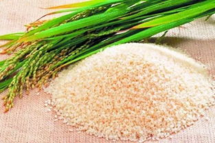 黑龍江綠色有機農(nóng)產(chǎn)品種植超8000萬畝
